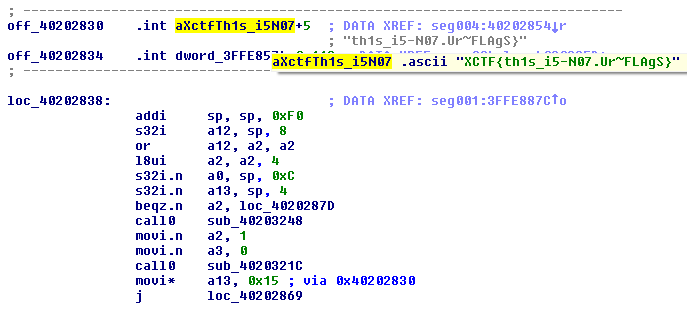 IDA Pro disassembly showing the fake flag reference